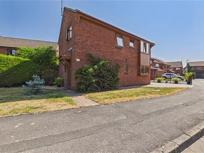 Picture 23